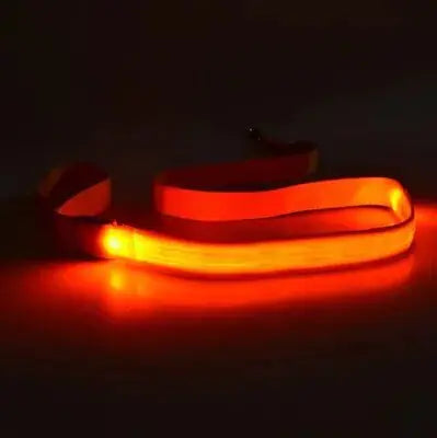 LED Dog Leash Rope