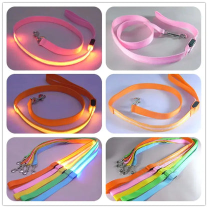 LED Dog Leash Rope