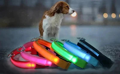 Adjustable LED Pet Collar