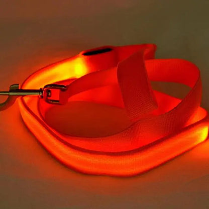 Rechargeable LED Pet Leash